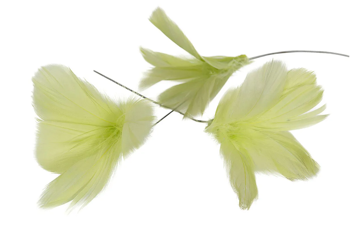 Fjäderblomma Lime